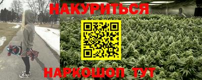 индика Гусиноозёрск
