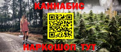 индика Гусиноозёрск