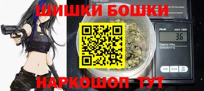 индика Гусиноозёрск
